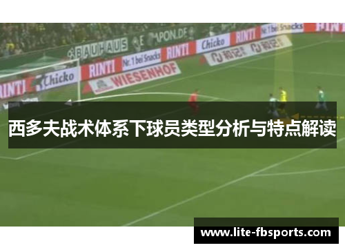 西多夫战术体系下球员类型分析与特点解读