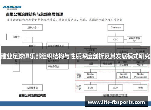 建业足球俱乐部组织结构与性质深度剖析及其发展模式研究 建业足球俱乐部组织结构与性质深度剖析及其发展模式研究