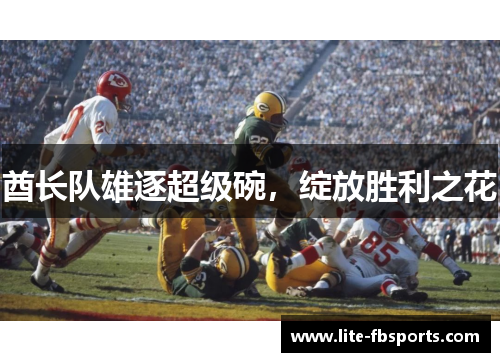 酋长队雄逐超级碗,绽放胜利之花 酋长队雄逐超级碗,绽放胜利之花