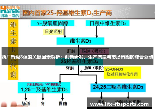 药厂晋级8强的关键因素解析:创新研发、生产质量与市场策略的综合驱动 药厂晋级8强的关键因素解析:创新研发、生产质量与市场策略的综合驱动