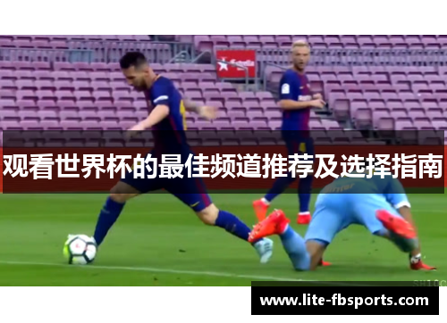 观看世界杯的最佳频道推荐及选择指南 观看世界杯的最佳频道推荐及选择指南