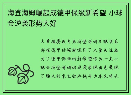 海登海姆崛起成德甲保级新希望 小球会逆袭形势大好