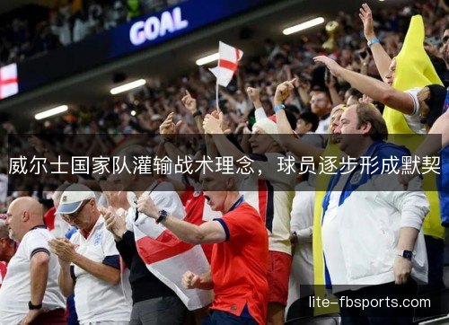 威尔士国家队灌输战术理念，球员逐步形成默契